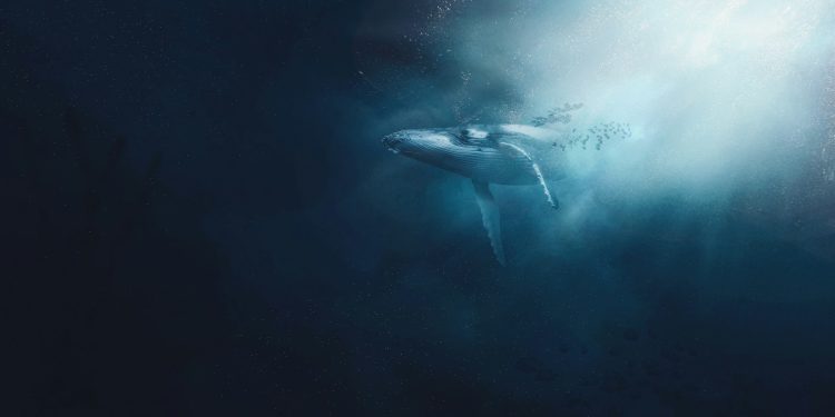 Whale Deposits $21M In DeFi Tokens To Binance, Is It Justin Sun?
