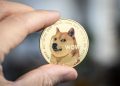 Dogecoin Plunges 11%, But This On-Chain Cushion Could End Decline