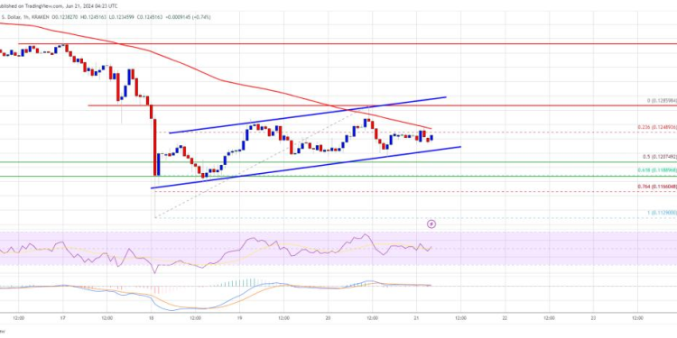 2017 Haunts Ripple CEO: Is XRP A Security?
