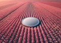 Crypto Analyst Says Large-Cap Layer-1 Altcoin Primed for a Breakout, Maps Path Forward for Bitcoin and Lido DAO