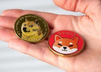Floki, Dogwifhat, Bonk Record Double-Digit Gains — Dogecoin, Shiba Inu Also Shrug Off Broader Market Bloodbath – Emeren Group (NYSE:SOL)