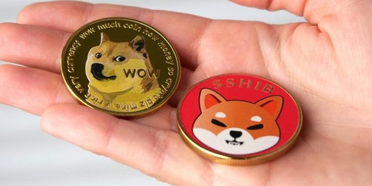 Floki, Dogwifhat, Bonk Record Double-Digit Gains — Dogecoin, Shiba Inu Also Shrug Off Broader Market Bloodbath – Emeren Group (NYSE:SOL)