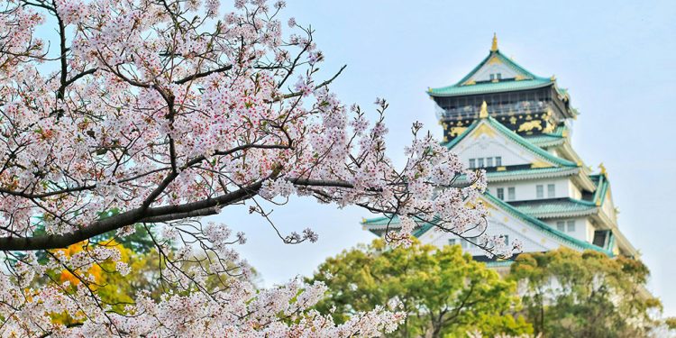 Ripple Launches XRPL Fund to Drive Blockchain Innovation in Japan, South Korea