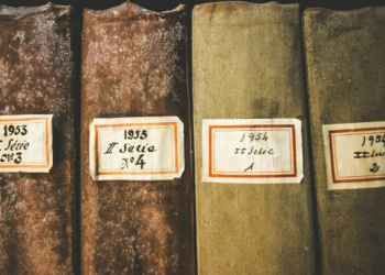 The Importance of Archive Nodes