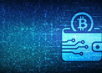 What is a blockchain wallet?