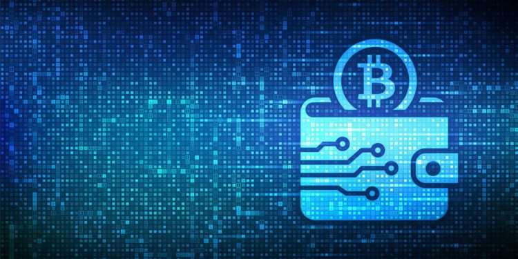 What is a blockchain wallet?