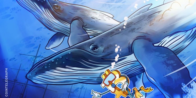 Bitcoin whales snapped up $4.3B of BTC amid price slump