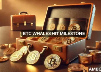 2-year high for Bitcoin’s whales – What does that mean for you?