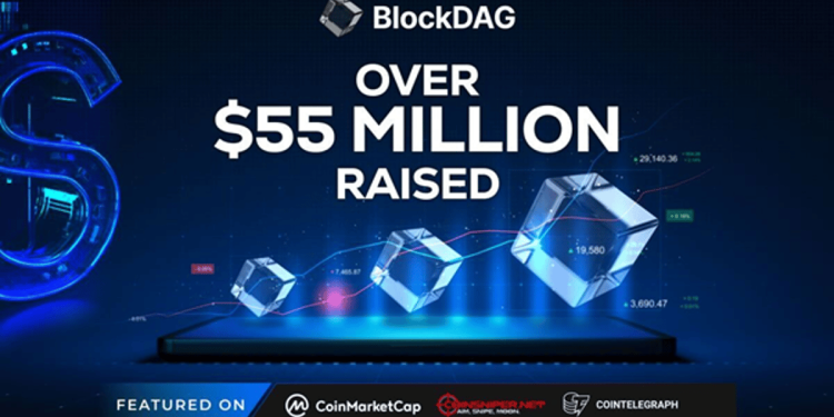 Investors Fly Past Toncoin Price Surge & Dogecoin Support