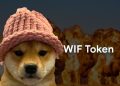 Dogwifhat Surges to Top Meme Coin Spot, Outshining DOGE and SHIB