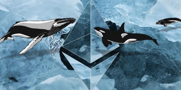 Ethereum ETF Excitement Leads Crypto Whales to Scoop Up 426,000 ETH, Price Rally Next?