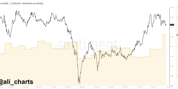 Dogecoin Whales Fill Up Bags As DOGE Price Dips 5%