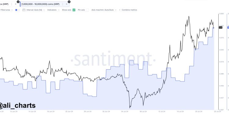 XRP Whales Go On $84 Million Buying Spree: Rally To Continue?