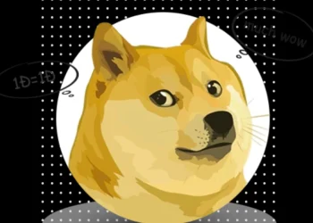Dogecoin’s Rising Star in the Crypto World and What’s Next for DOGE