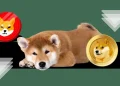 Here is What’s Next for These Memecoins!