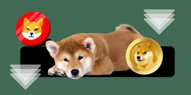 Here is What’s Next for These Memecoins!