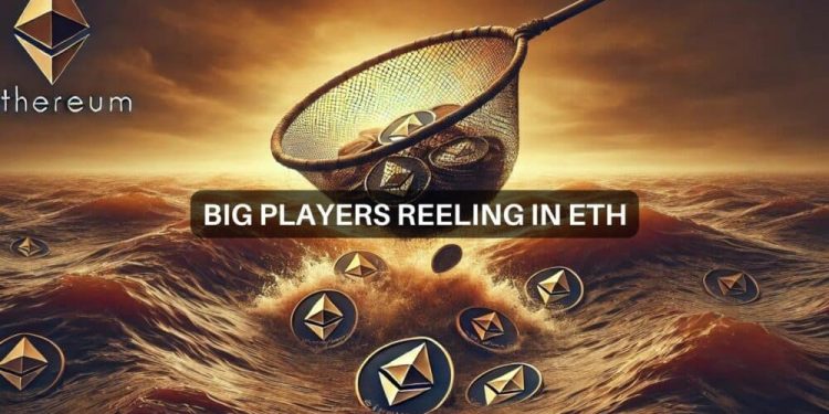 Justin Sun’s big Ethereum bet: Whales eyeing ETH ETF gains?