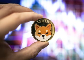 ‘Dogecoin Killer’ Shiba Inu Burn Rate Surges 355%: What Is Going On?