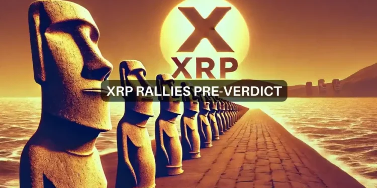 XRP market watch: Buy more or sell now? Key insights here!