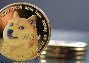 Can $1000 Worth Of DOGE Become $1 Million in 2030?