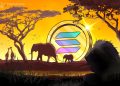 Solana has impacted Africa’s crypto market maturity — Exchange exec