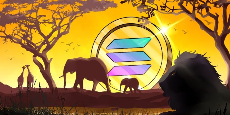 Solana has impacted Africa’s crypto market maturity — Exchange exec