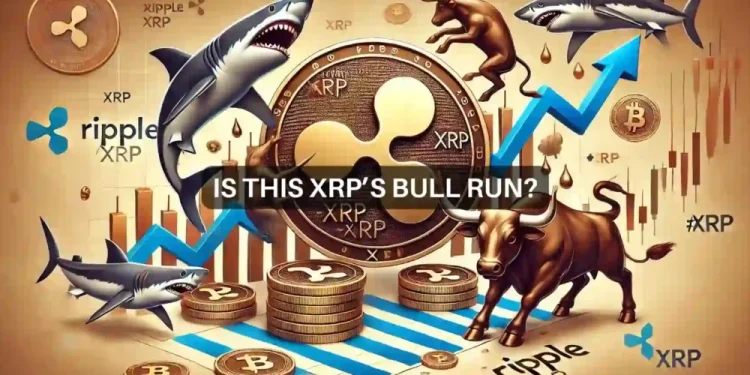 Will XRP reach $0.63? How whales, sharks can help the altcoin rally