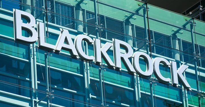 BlackRock Poised to Unveil Its Blockchain Network, According to Token Terminal