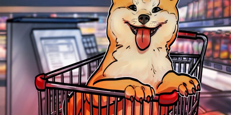 Why is Dogecoin price up today?