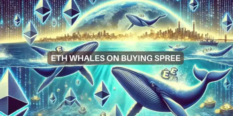 Ethereum whales buy ETH worth $440 mln – Preparing for a rally?