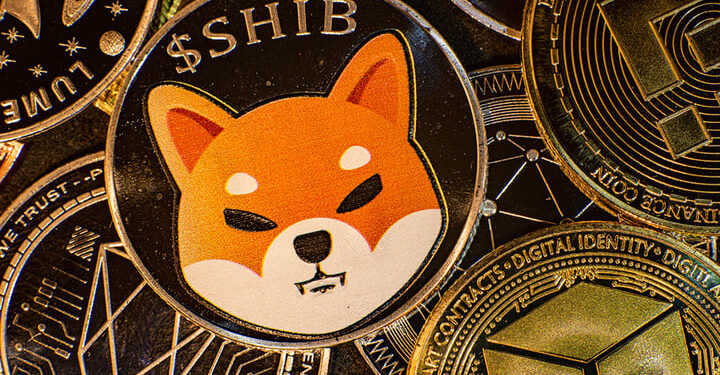 Shiba Inu (SHIB) Introduces ShibDev Portal to Empower Developers