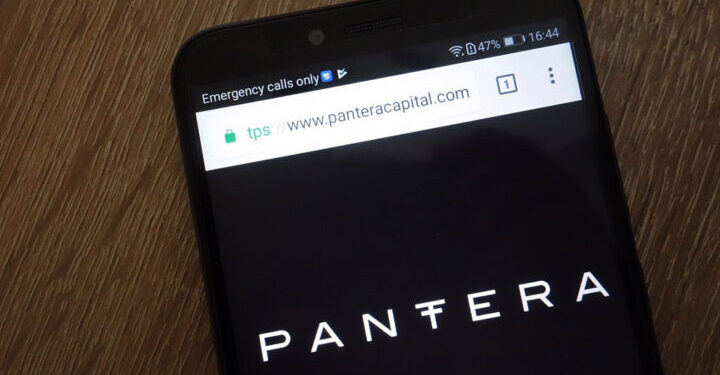 Pantera Capital Prepares to Launch $1 Billion Pantera Fund V in 2025