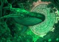 Crypto Whales Accumulate One Ethereum (ETH) Rival From Binance and Kraken: Lookonchain