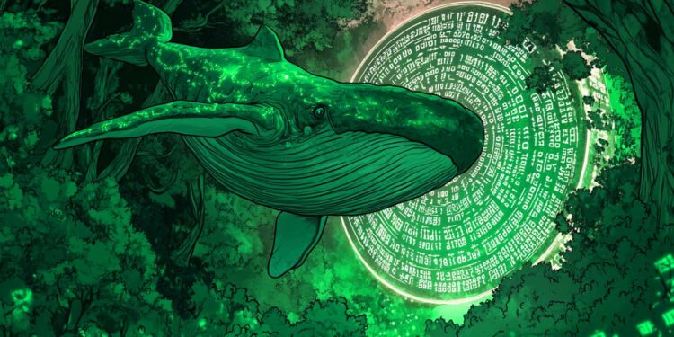 Crypto Whales Accumulate One Ethereum (ETH) Rival From Binance and Kraken: Lookonchain