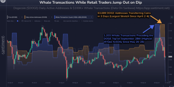 Dogecoin Slides 18% But Whale Activity Suggests Bullish Outlook