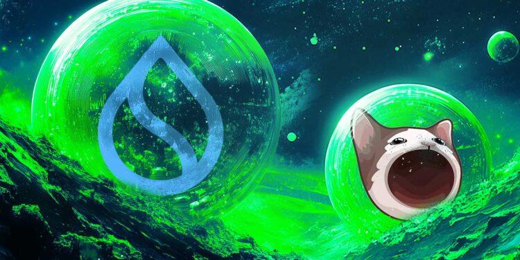 Top Analyst Says One Memecoin About To Go ‘Mental,’ Updates Forecast on SUI and POPCAT