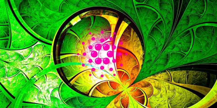 Cardano (ADA) To See One More Drop Against Bitcoin Before Year End, Says Analyst Benjamin Cowen