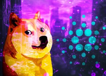 Whales Accumulate Bitcoin, Dogecoin, Cardano and One Other Altcoin Amid Brief Market Dip This Week, Says Analyst