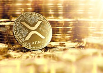 XRP Rebounds 14% amid Whale Accumulation