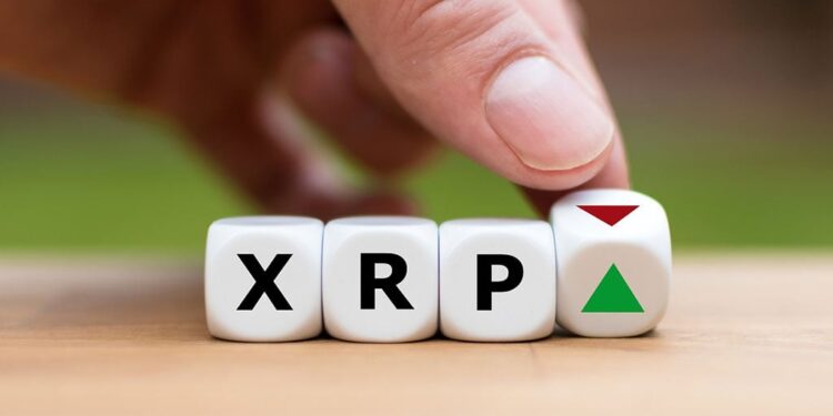 XRP Price Prediction: Robust Fundamentals Could Secure Fresh XRP Rally towards $3