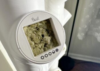 Are smart gardens viable at home? Here’s how my harvesting journey is going so far