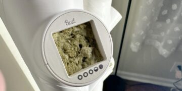 Are smart gardens viable at home? Here’s how my harvesting journey is going so far