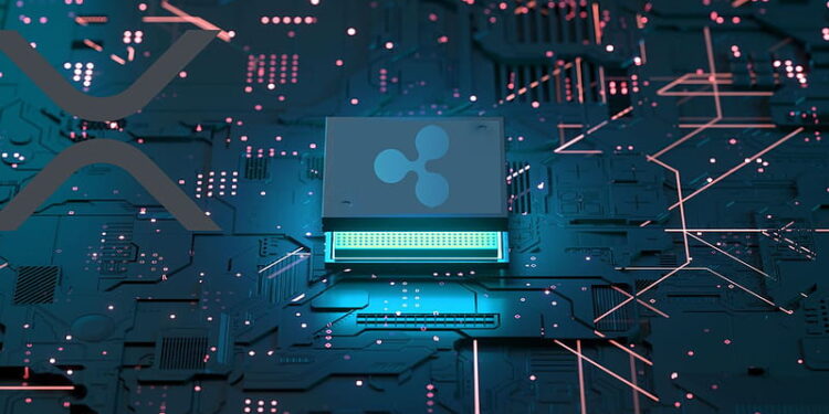 Expert Says Ripple’s XRP Is Designed For More, Here’s What He Means