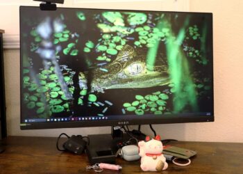 5 gaming accessories I refuse to play without